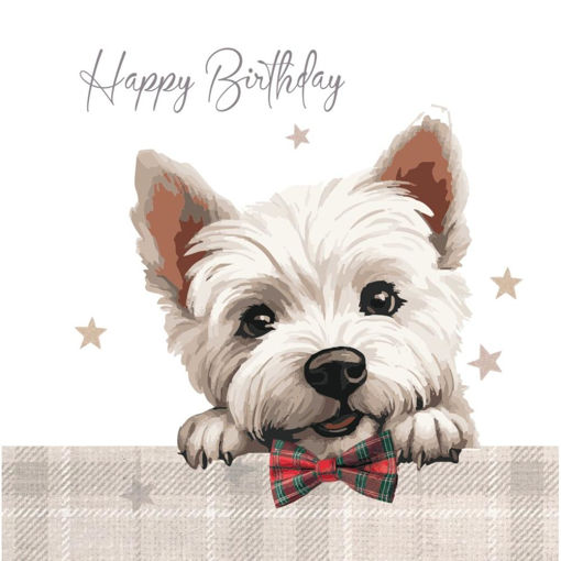 Picture of HAPPY BIRTHDAY MALTESE DOG